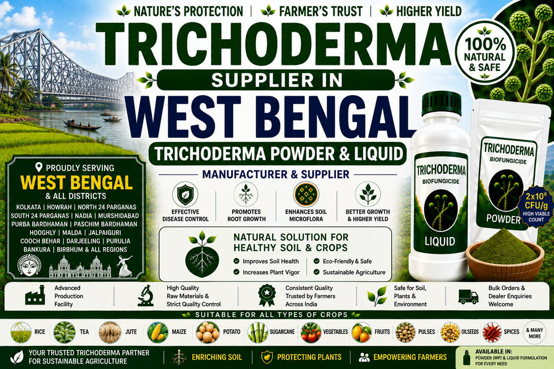 Trichoderma Supplier in West Bengal | Premium Biofungicide Manufacturer & Bulk Supplier