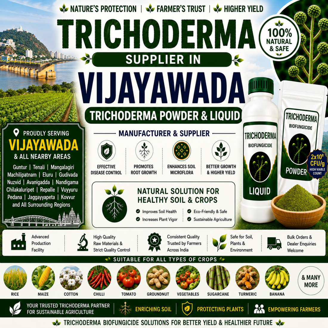 Trichoderma Supplier in Vijayawada | Premium Biofungicide Manufacturer & Bulk Supplier