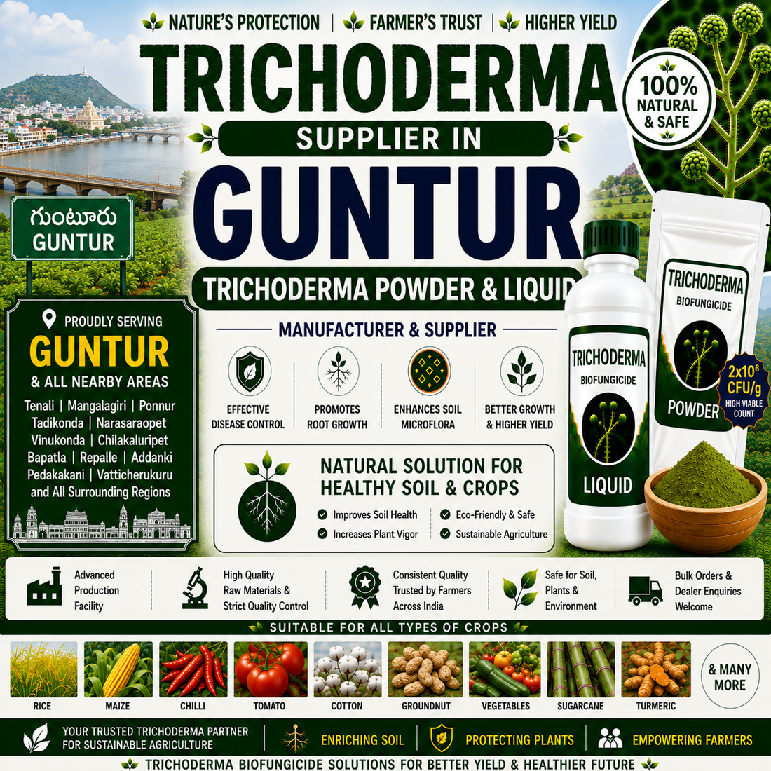 Trichoderma Supplier in Guntur | Premium Biofungicide Manufacturer & Bulk Supplier