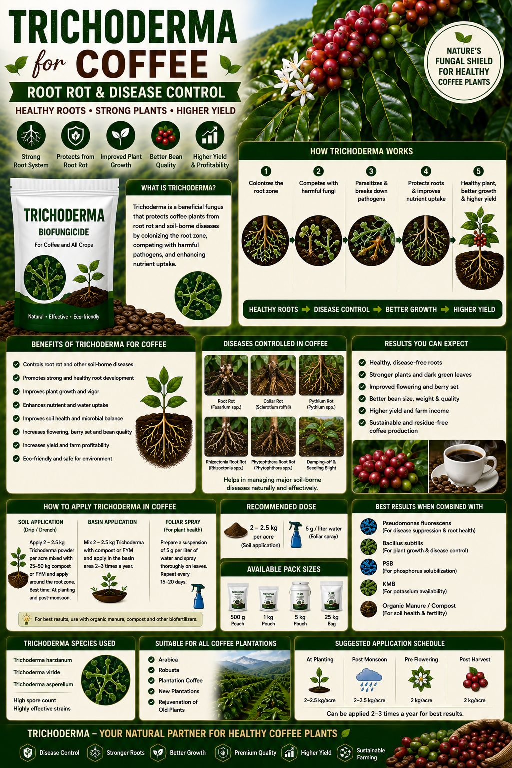 Trichoderma for Coffee Root Rot & Disease Control: Natural Biofungicide for Healthy Coffee Plants