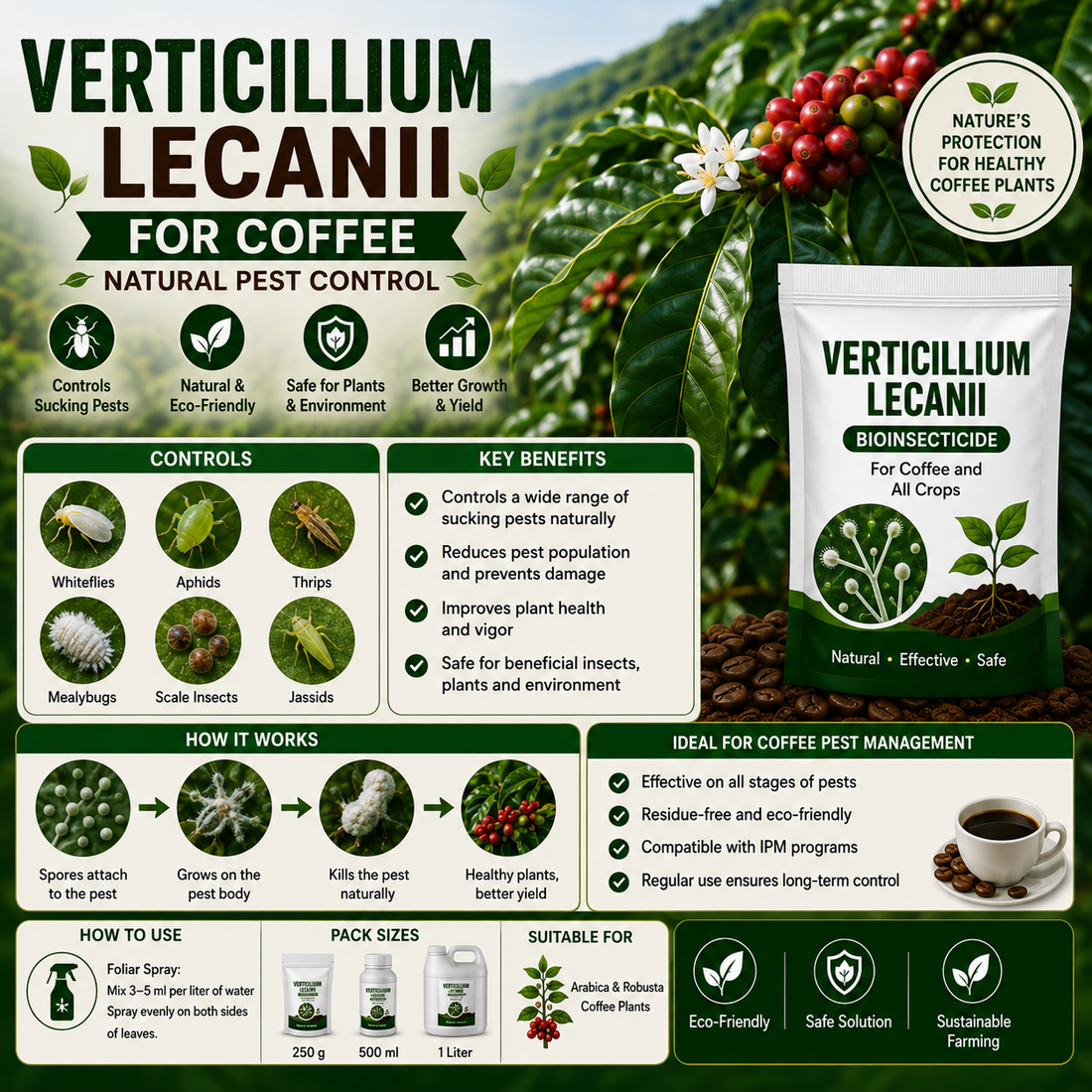 Verticillium lecanii for Coffee Sucking Pest Control: Natural Control of Aphids, Whiteflies, Thrips & Mealybugs