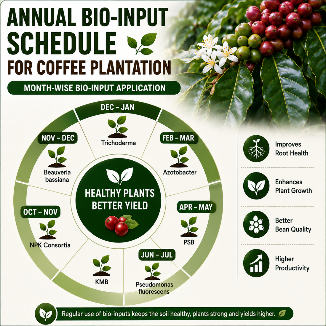 Annual Bio-input Schedule for Coffee Plantation: Complete Year-Round Biofertilizer, Biofungicide & Biopesticide Program