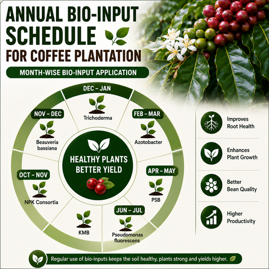 Annual Bio-input Schedule for Coffee Plantation: Complete Year-Round Biofertilizer, Biofungicide & Biopesticide Program