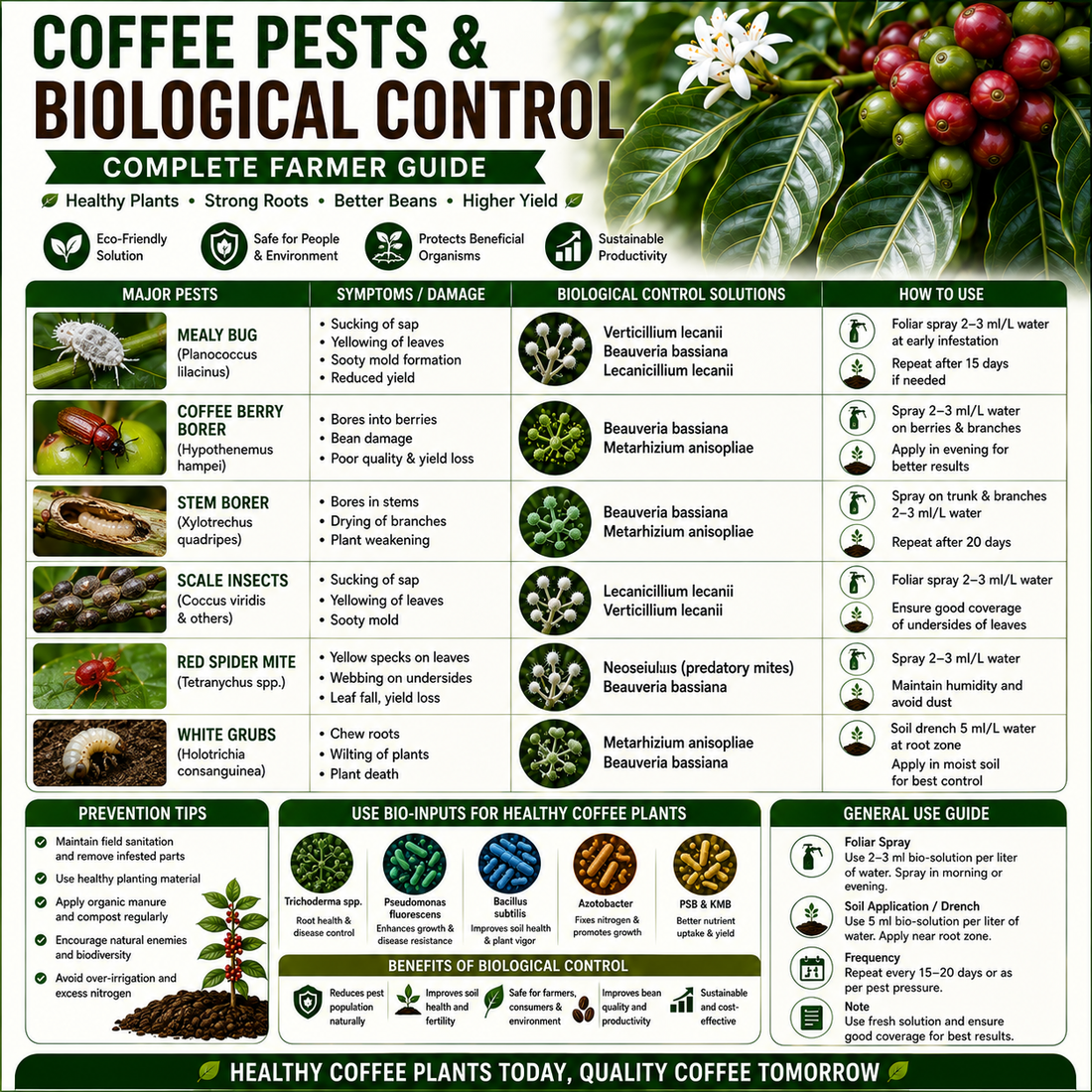 Coffee Pests & Their Biological Control: Complete Guide for Sustainable Coffee Pest Management