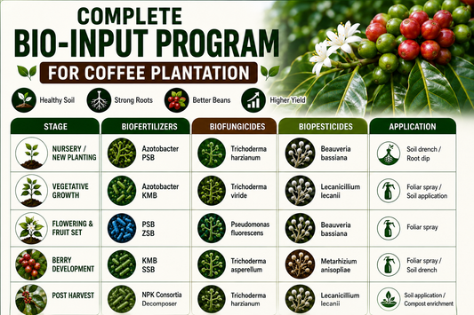 Complete Bio-input Program for Coffee Plantation: Biofertilizers, Biofungicides & Biopesticides Guide