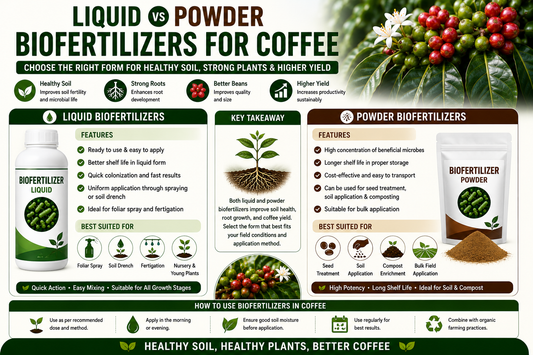 Liquid vs Powder Biofertilizers for Coffee Plantation: Which is Better for Higher Coffee Yield?