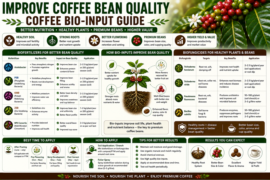 Improve Coffee Bean Quality Naturally with Biofertilizers, Biofungicides & Biopesticides