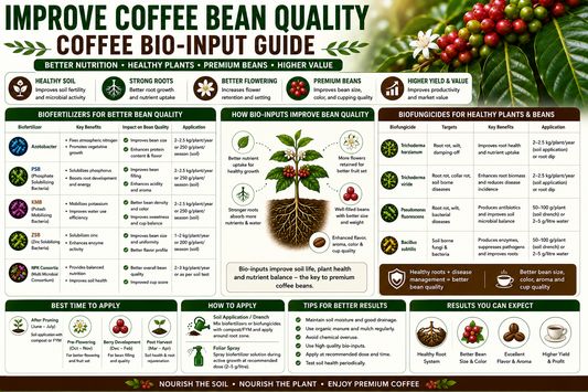Improve Coffee Bean Quality Naturally with Biofertilizers, Biofungicides & Biopesticides