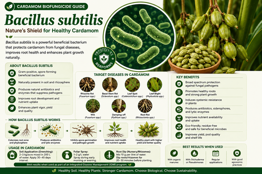 Bacillus subtilis for Cardamom Disease Control, Root Health & Higher Yield