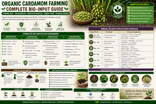 Organic Cardamom Farming with Biofertilizers, Biofungicides & Biopesticides