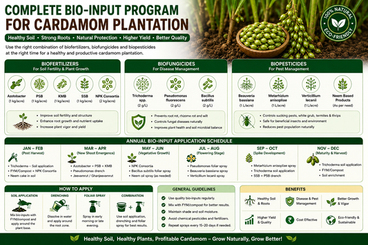 Complete Bio-input Program for Cardamom Plantation for Higher Yield