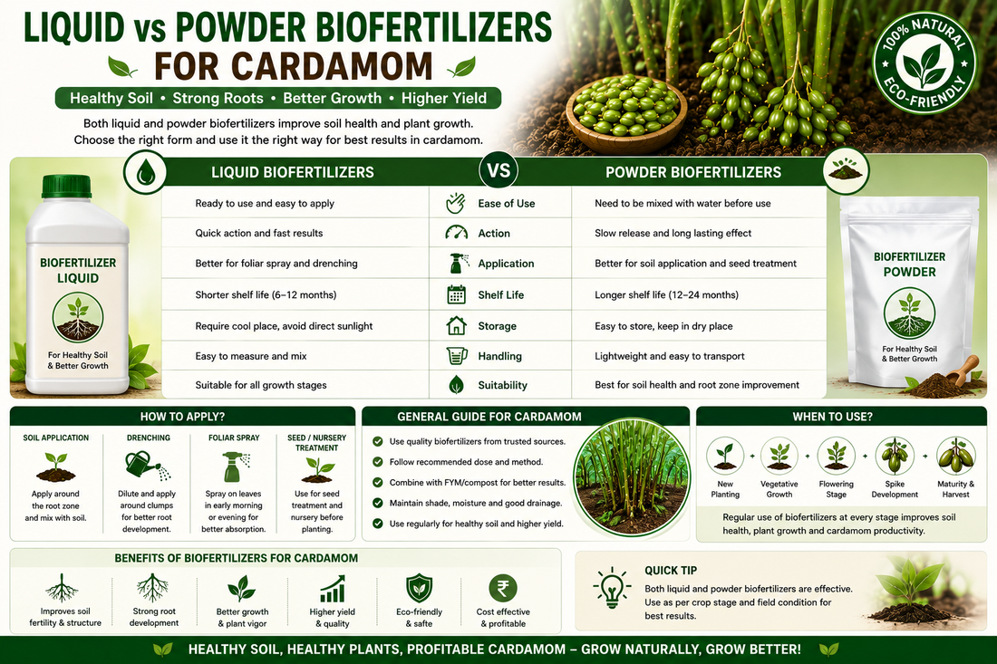 Liquid vs Powder Biofertilizers for Cardamom: Which is Better?