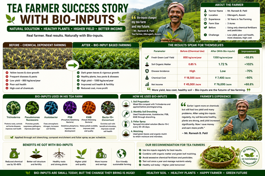 Farmer Success Story: Higher Tea Yield with Bio-inputs | Tea Farming Case Study