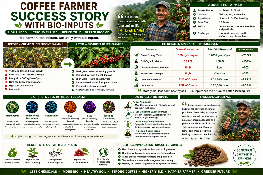 Farmer Success Story: Higher Coffee Yield with Bio-inputs | Coffee Farming Case Study