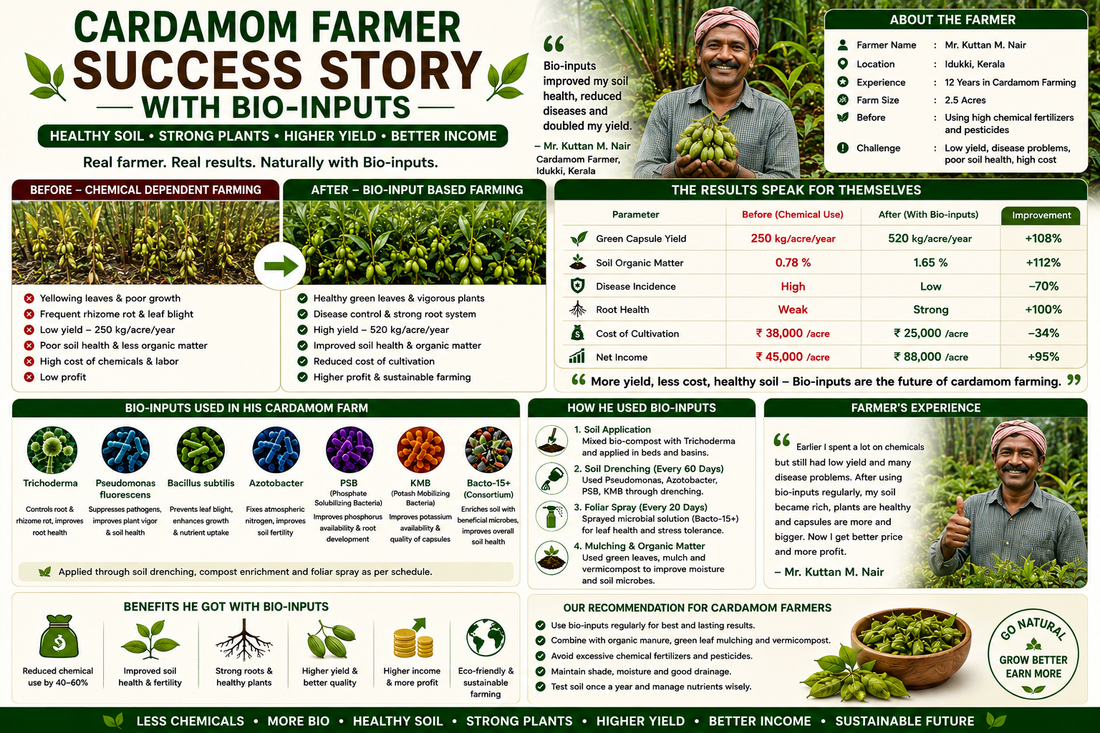 Farmer Success Story: Higher Cardamom Yield with Bio-inputs | Cardamom Farming Case Study