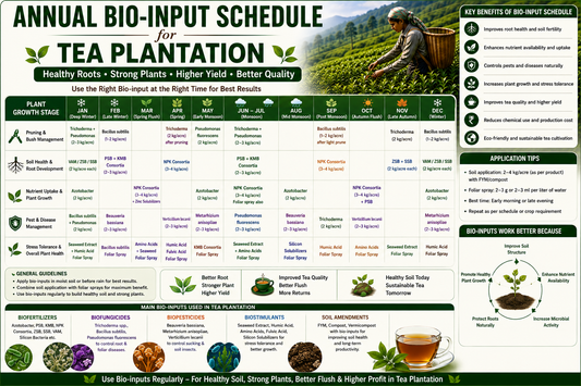 Annual Bio-input Schedule for Tea Plantation: Month-Wise Biofertilizer, Biofungicide & Biopesticide Guide