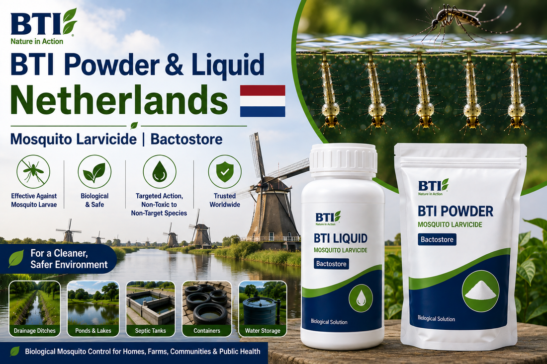 BTI Powder & Liquid in Netherlands | Biological Mosquito Larvae Control