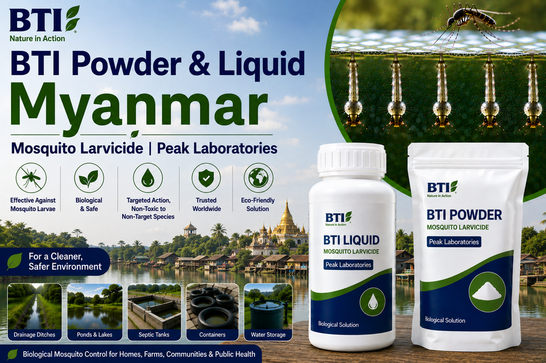 BTI Powder & Liquid in Myanmar | Biological Mosquito Control