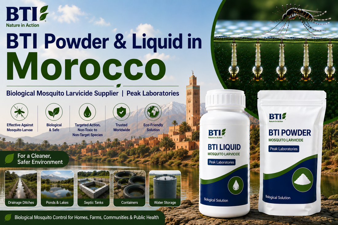 BTI Powder & Liquid Morocco | Biological Mosquito Larvicide Supplier & Exporter
