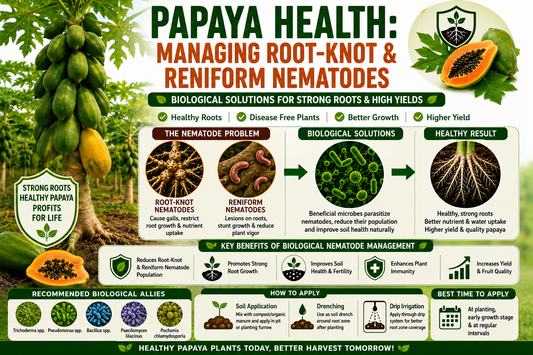 Papaya Orchard Health: Managing Root-Knot & Reniform Nematodes