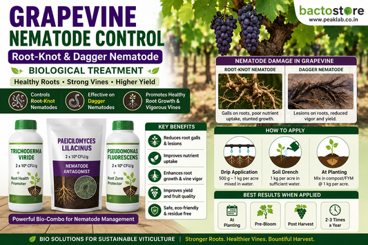 Grapevine Root-Knot & Dagger Nematode Control Using Beneficial Microorganisms