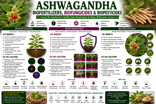 Ashwagandha Biofertilizers, Biofungicides & Biopesticides for Higher Root Yield, Withanolide Content and Sustainable Cultivation