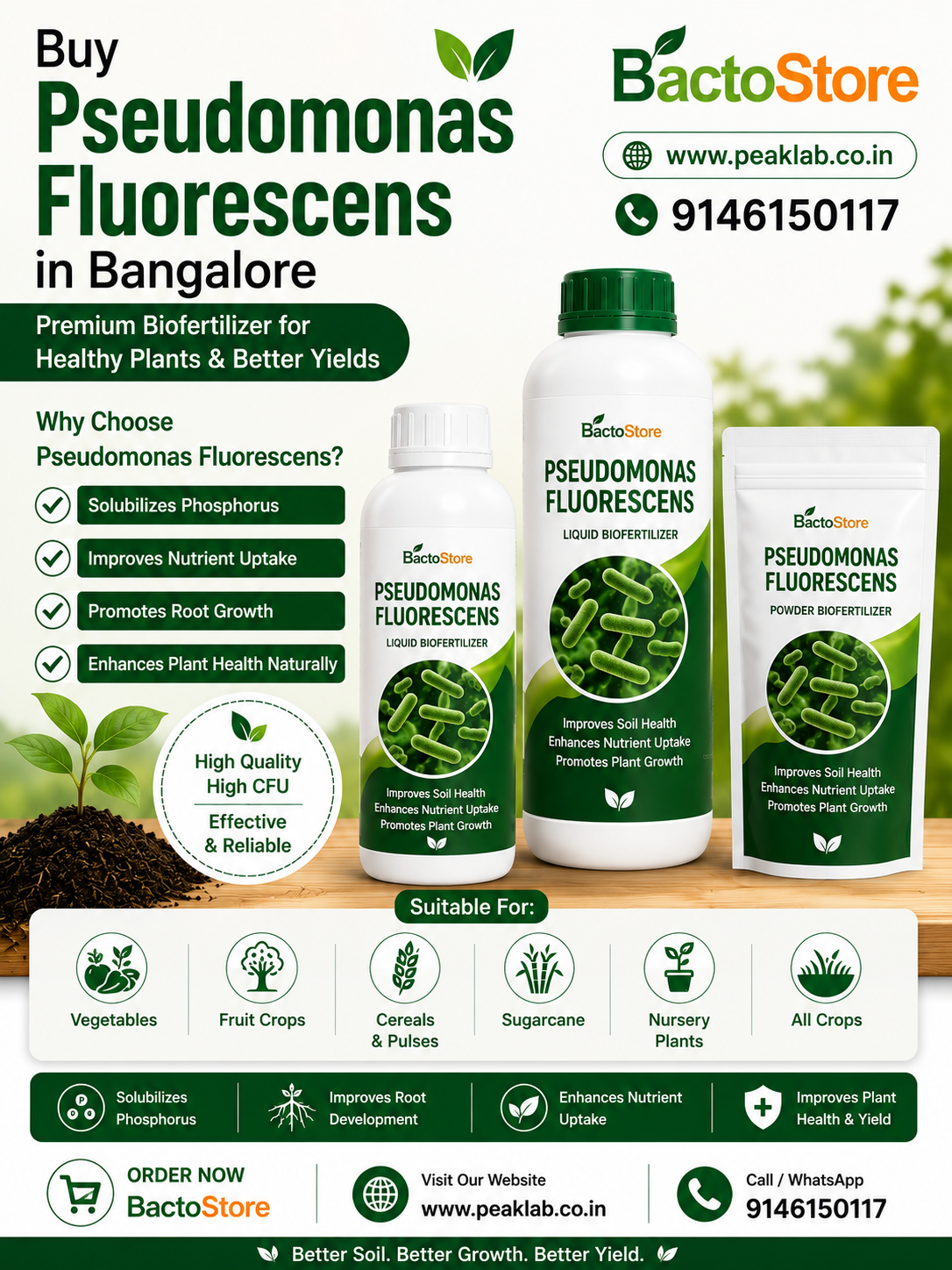 Buy Pseudomonas Fluorescens in Bangalore | Liquid & Powder Biofungicide – Bactostore