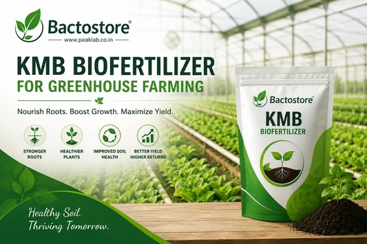 KMB biofertilizer for greenhouse farming