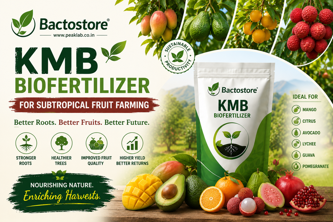 KMB biofertilizer for subtropical fruit farming