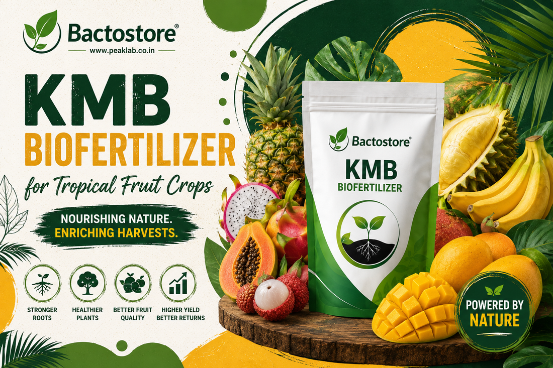 KMB biofertilizer  for tropical fruit crops