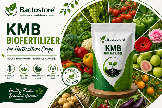 KMB biofertilizer for horticulture crops
