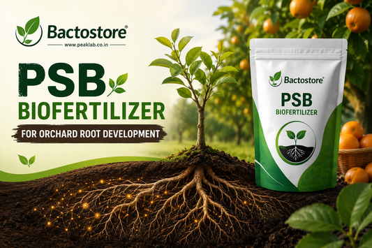 PSB for orchard root development