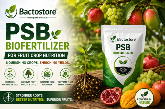 PSB biofertilizer for fruit crop nutrition
