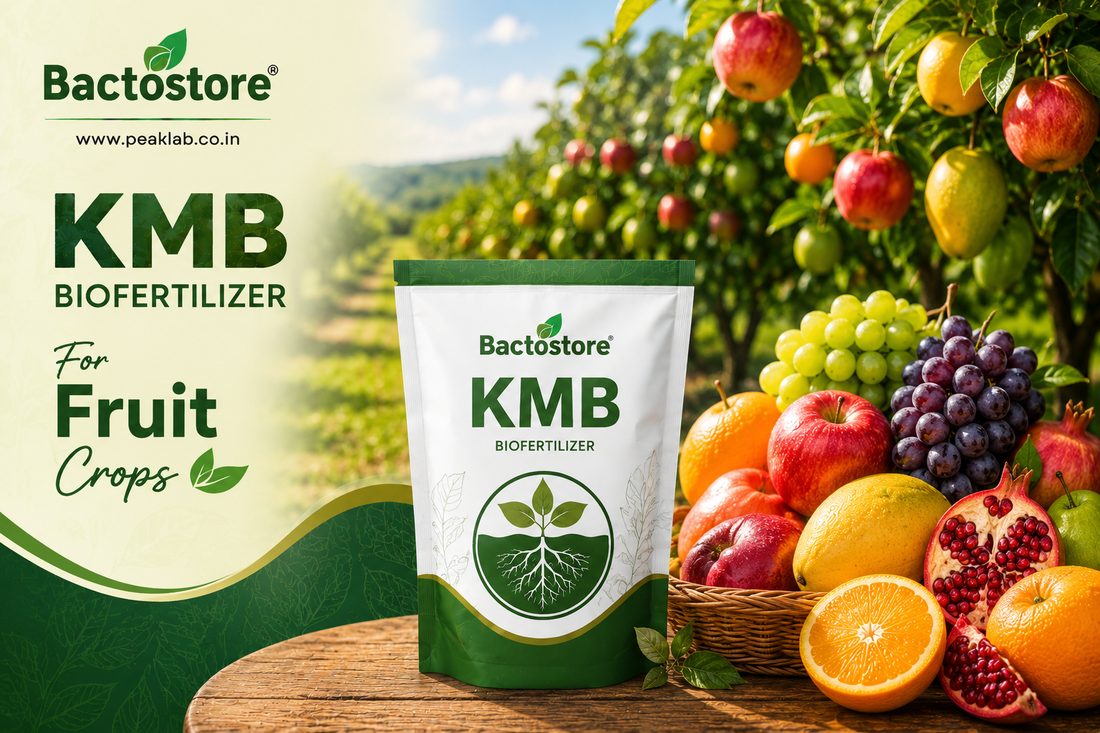KMB Biofertilizer for fruit crops