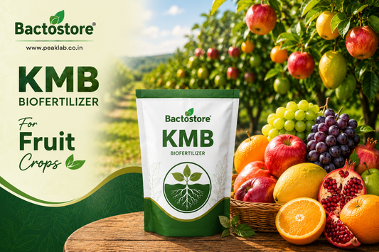 KMB Biofertilizer for fruit crops