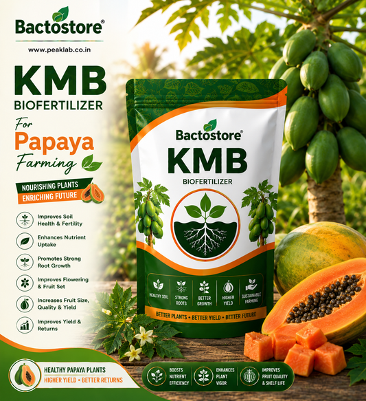 KMB Biofertilizer for papaya farming