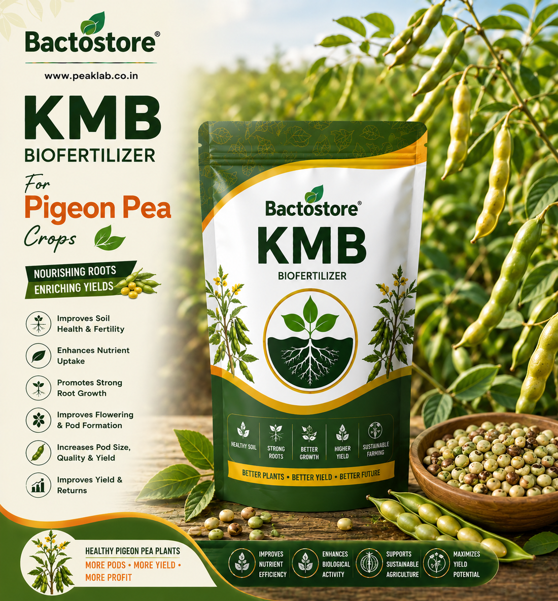 KMB biofertilizer for pigeon pea crops