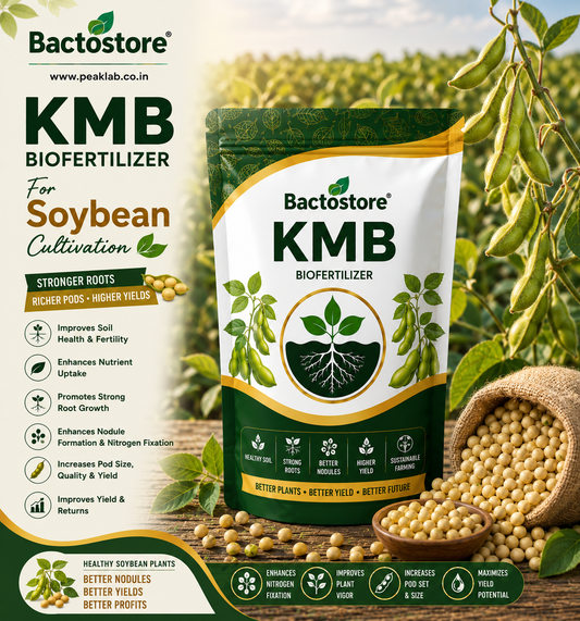 KMB for biofertilizer soybean cultivation