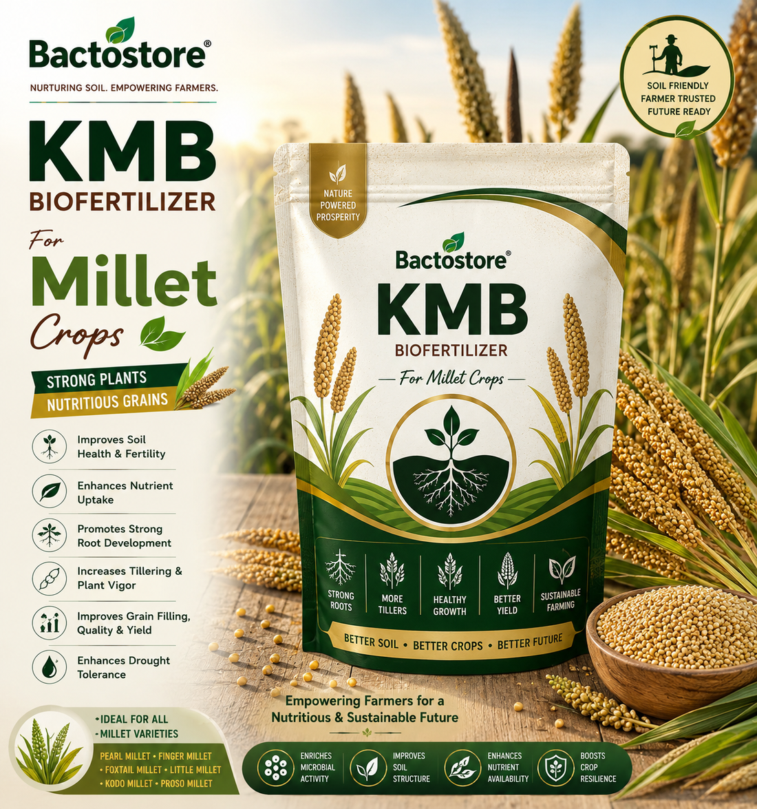 KMB biofertilizer for millet crops