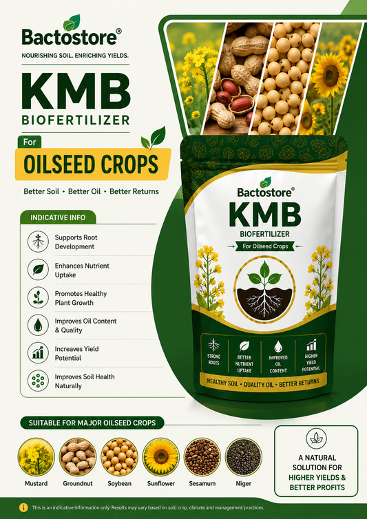 KMB biofertilizer for oilseed crops