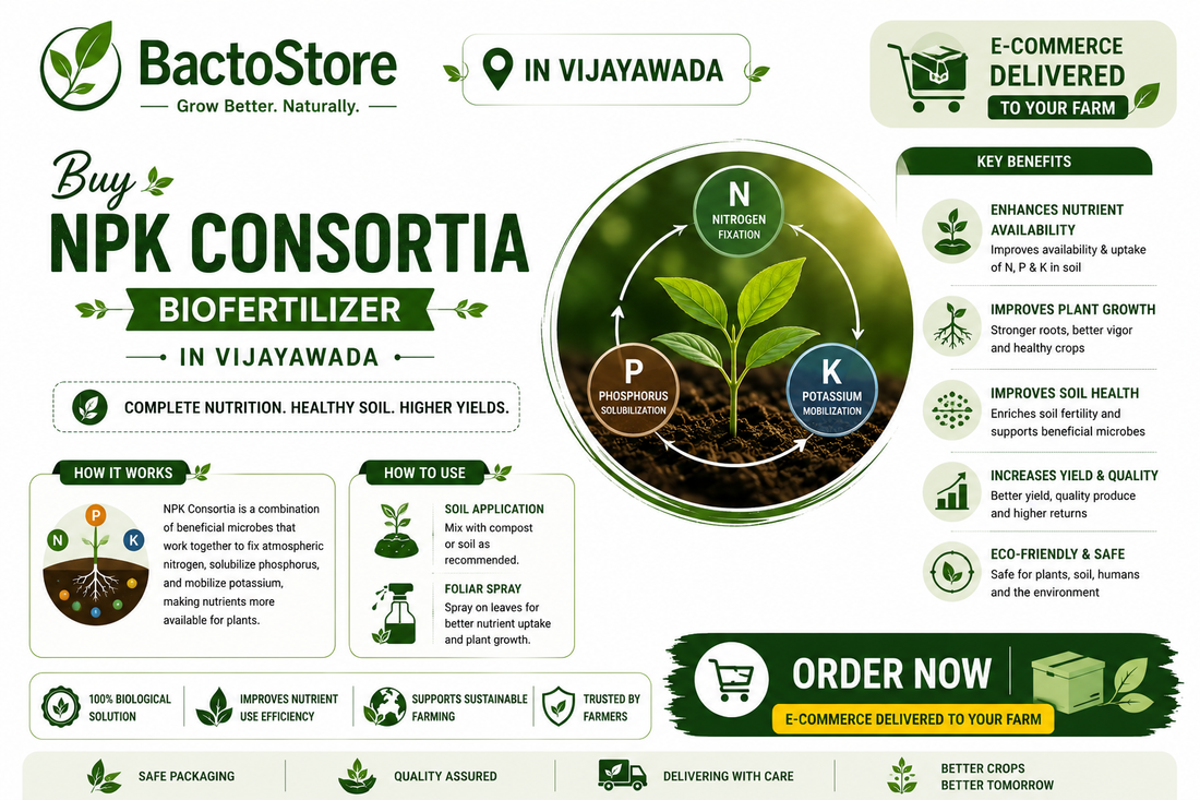 Buy NPK Consortia Biofertilizer in Vijayawada – Complete Plant Nutrition, Delivered to Your Door