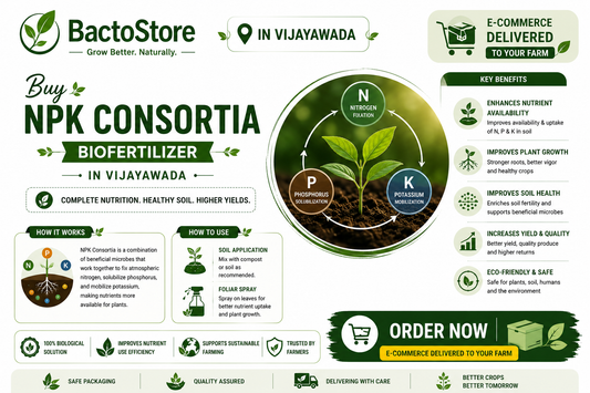 Buy NPK Consortia Biofertilizer in Vijayawada – Complete Plant Nutrition, Delivered to Your Door