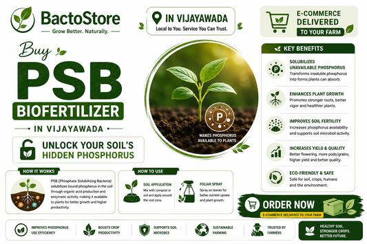 Buy PSB Biofertilizer in Vijayawada – Unlock Your Soil’s Hidden Phosphorus