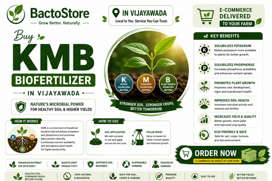 Buy KMB Biofertilizer in Vijayawada – Unlock Your Soil's Hidden Potash