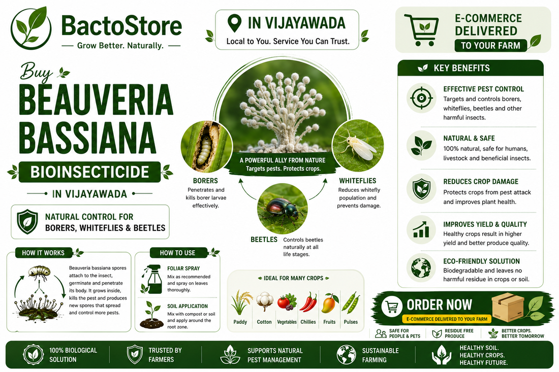 Buy Beauveria bassiana in Vijayawada – Natural Control for Borers, Whiteflies &amp; Beetles
