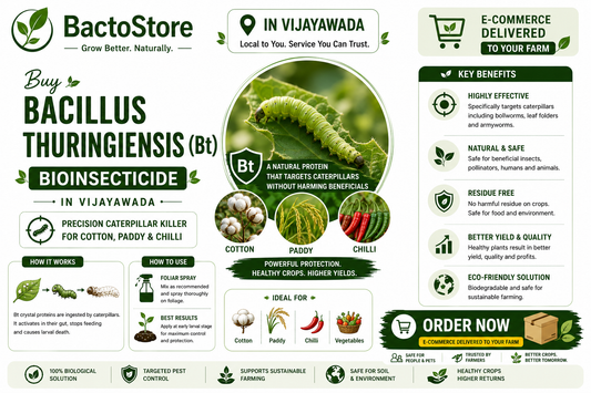Buy Bacillus thuringiensis (Bt) in Vijayawada – Precision Caterpillar Killer for Cotton, Paddy &amp; Chilli