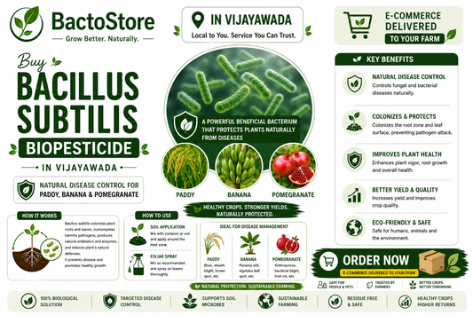 Buy Bacillus subtilis Biopesticide in Vijayawada – Natural Disease Control for Paddy, Banana & Pomegranate