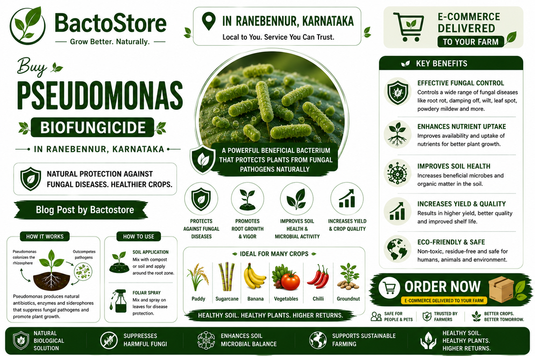 Buy Pseudomonas Biofungicide in Ranebennur, Karnataka – Blog Post by Bactostore