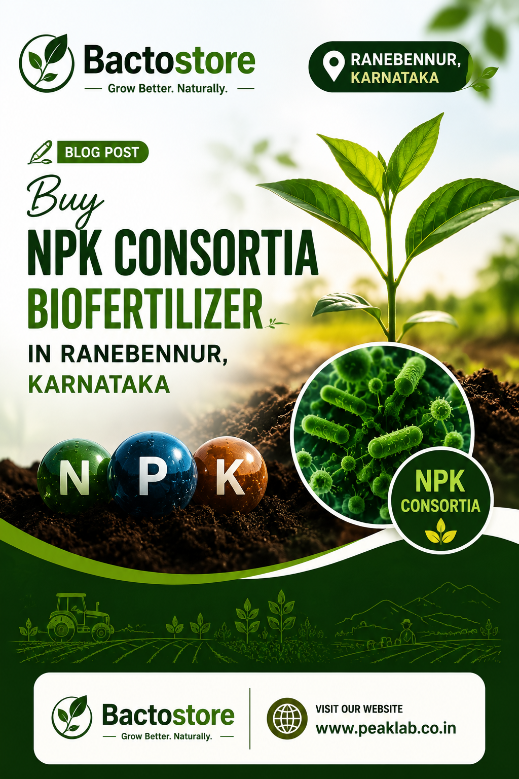 Buy NPK Consortia Biofertilizer in Ranebennur, Karnataka