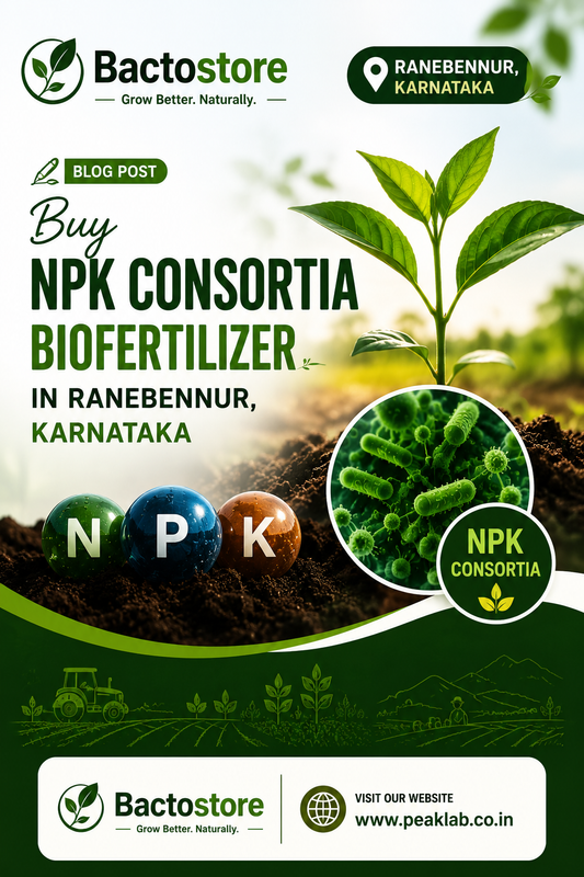 Buy NPK Consortia Biofertilizer in Ranebennur, Karnataka